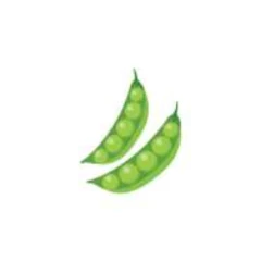 Green pea pods