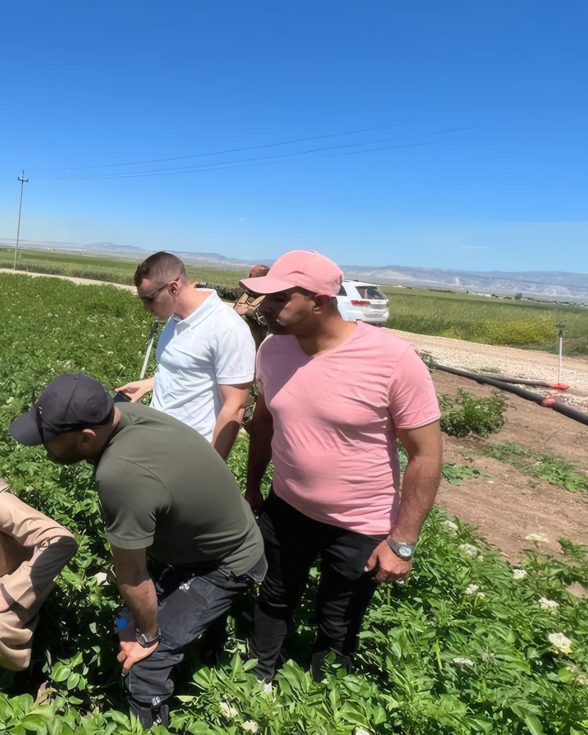 The team inspecting a young crop in an open field in Kurdistan