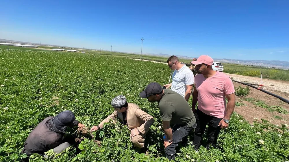 The team inspecting a young crop in an open field in Kurdistan