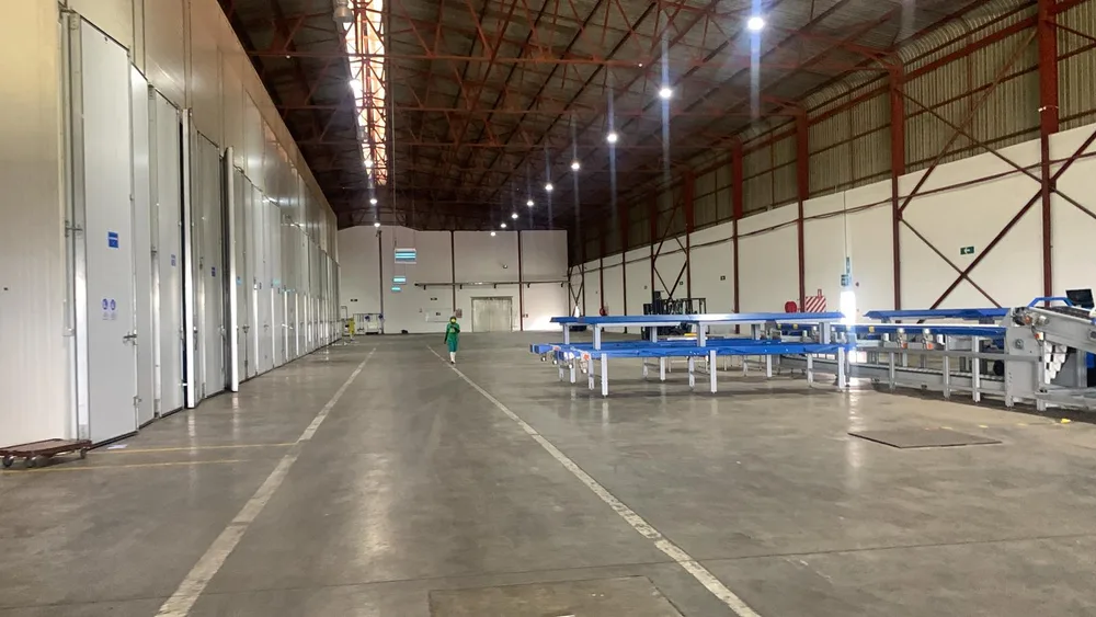 Inside the Malawi AgTech Center: a long processing hall with cold-room doors and packing lines